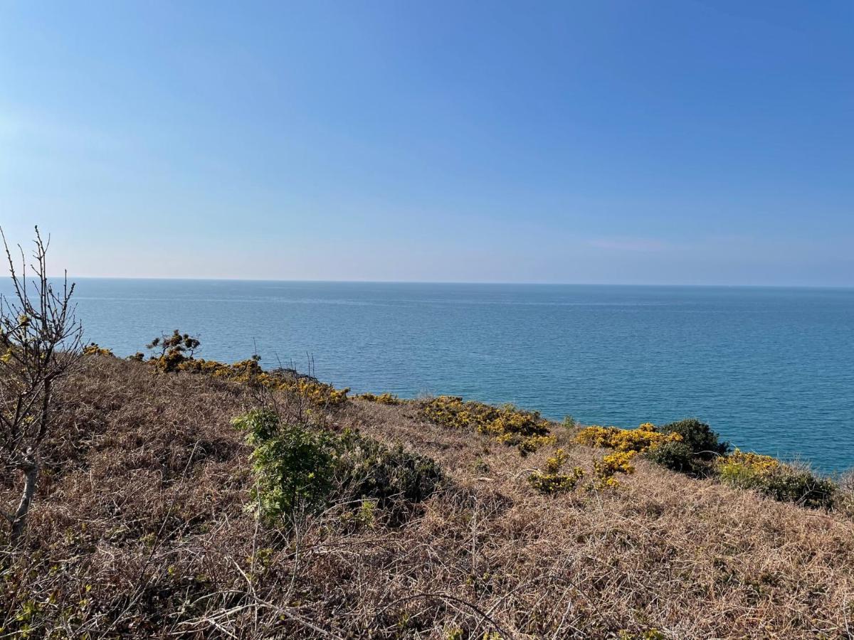 Au Petit Brick - Cosy Beachfront House Holiday home Maupertus-sur-Mer